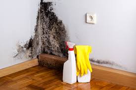 Reliable Peppermill Village, MD Mold Removal & Remediation Solutions